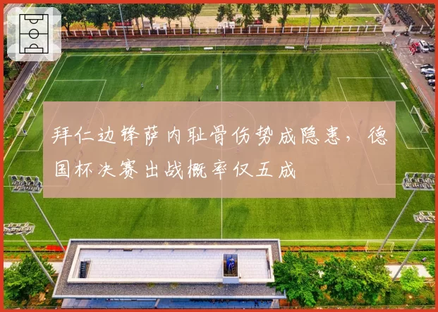 拜仁边锋萨内耻骨伤势成隐患，德国杯决赛出战概率仅五成