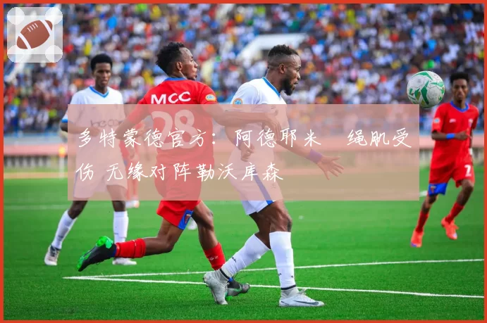 多特蒙德官方:阿德耶米腘绳肌受伤 无缘对阵勒沃库森