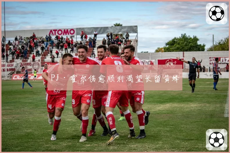 PJ·霍尔伤愈顺利渴望长留黄蜂