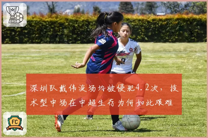 深圳队戴伟浚场均被侵犯4.2次,技术型中场在中超生存为何如此艰难?