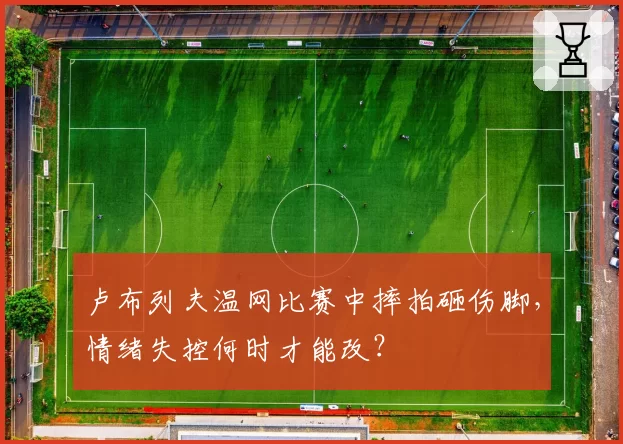 卢布列夫温网比赛中摔拍砸伤脚，情绪失控何时才能改？